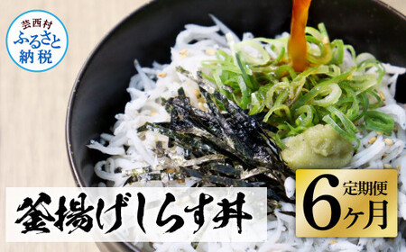 [6ヶ月定期便]高知県産釜揚げしらす×8パック 定期便 定期コース 6回 簡易梱包 小分け 国産 釜揚げ シラス丼 海鮮丼 ゆず付 お茶漬け 軍艦巻き 手巻き寿司 冷凍配送 おかず お取り寄せ