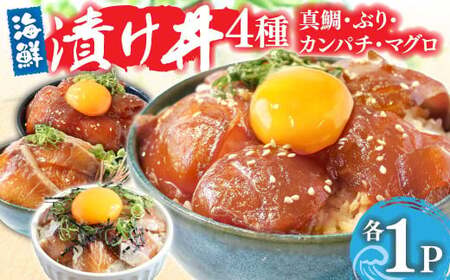 漬け丼 4種 海鮮丼 海鮮丼セット 真鯛 ブリ カンパチ マグロ 漬け丼セット 80g×各1P 計4P 海鮮 漬け お茶漬け 鯛 ぶり 鰤 かんぱち まぐろ 鮪 冷凍 小分け パック ご飯 晩御飯 惣菜 刺身 高知県