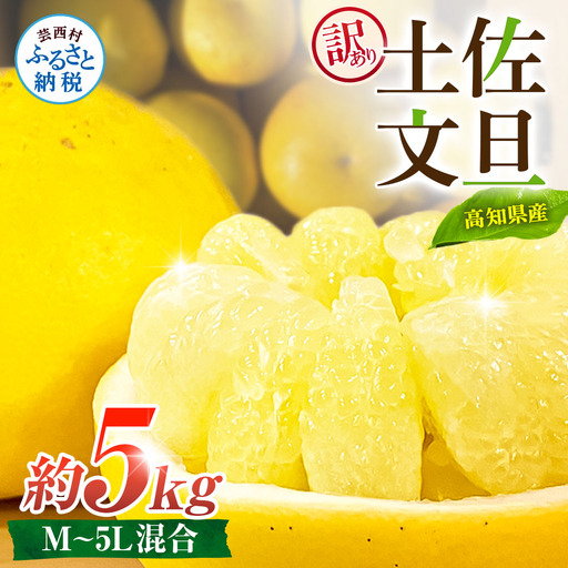 先行予約 訳あり 土佐文旦 家庭用 約5kg 約8～15玉 M～5L混合サイズ 高知県産