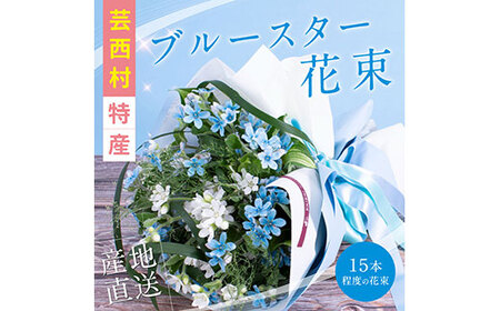 [先行予約]芸西村特産ブルースター花束(約15本程度の花束)