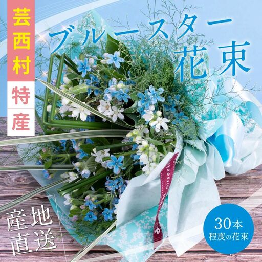 《先行予約》芸西村特産ブルースター花束（約30本程度の花束）