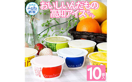 おいしいんだもの 高知アイスセット 故郷納税 11000円 食べ物 ギフト 詰め合わせ シャーベット スイーツ お菓子 プレゼント 濃厚 バニラ アイスクリーム 塩 いちご 苺 お茶 文旦 ゆず