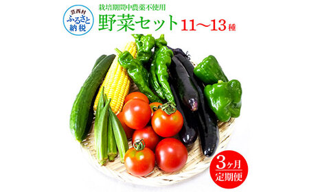 野菜セット(11-13種類)[3カ月定期便] 栽培期間中農薬不使用! 季節の野菜 定期コース 定期 無農薬 やさい 新鮮 自然 健康 セット 詰め合わせ 冷蔵 美味しい おいしい 食べ物 食材 秋 旬の味覚 ご当地 お取り寄せ 芸西村 30000円 故郷納税 返礼品