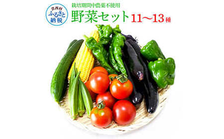 野菜セット(11-13種類)栽培期間中農薬不使用! 季節の野菜 旬 無農薬 やさい 新鮮 自然 健康 セット 詰め合わせ 冷蔵 美味しい おいしい 食べ物 食材 秋 旬の味覚 ご当地 お取り寄せ 芸西村 12000円 故郷納税 ふるさとのうぜい 返礼品 高知県産 高知