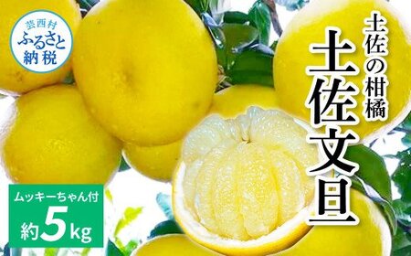 ẙk@yUTslߍ킹@ bL[(ނ@)t