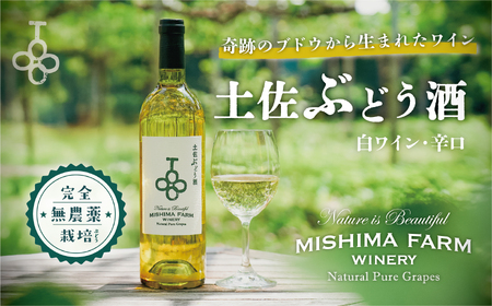 土佐ぶどう酒 白