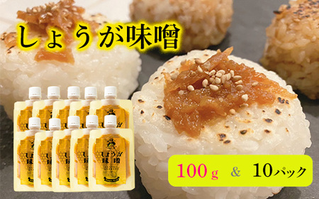 しょうが味噌(100g×10パック)