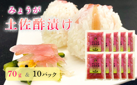 みょうが土佐酢漬け(70g×10パック)
