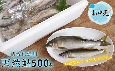 お中元★ フレッシュマートキシモトさんの天然鮎(冷凍)500g