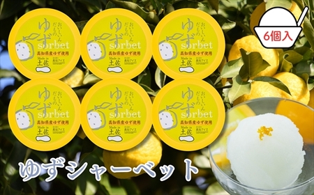 Made in 土佐★ゆずシャーベット6個(高知アイス)
