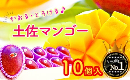 EƂ낯Iy}S[10