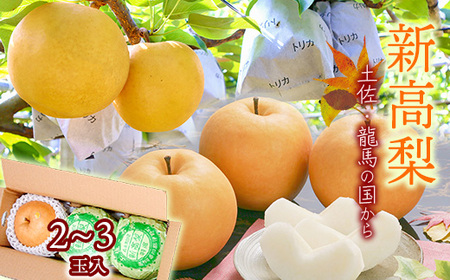 [2025年収穫]森本果樹園の新高梨 2〜2.5kg(2〜3玉)