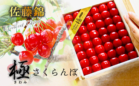 極みさくらんぼ (佐藤錦)　2024年発送