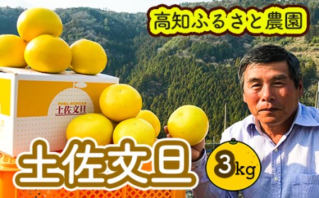 土佐文旦贈答用約3kg(高知ふるさと農園)