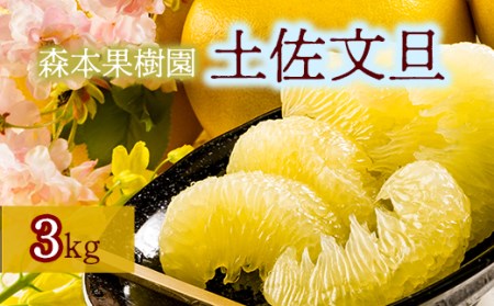 土佐文旦贈答用約3kg(森本果樹園)