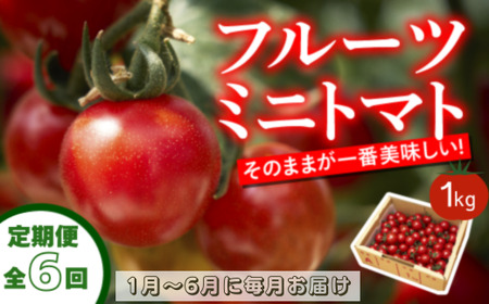 【定期便全6回 1月～6月毎月お届け】四万十川源流域で育まれた 絶品 フルーツミニトマト 1kg 【  フルーツトマト とまと 甘い 濃厚 美味しい 箱詰め 糖度8%～12% 高知 中土佐 】  