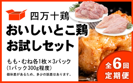 y֑S6 2ɂ͂zl\{ Ƃ{ Zbg (E ނ˓) v1.8kg y {  Ⓚ Y ؂g {  ނ˓ z