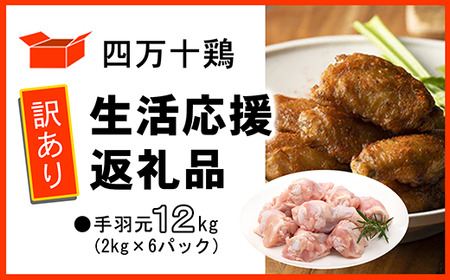y󂠂zl\{ H 12kg ( 2kg×6pbN ) ԗi y { Ⓚ Y z