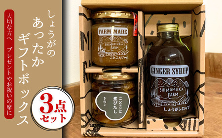 しょうがのあったかギフトボックス しょうがシロップ しょうがジャム 煮びたし セット 生姜 ジンジャーシロップ ギフト 贈り物 下村農園