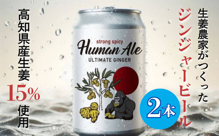 ジンジャービール 350ml 2本セット [ 高知県 生姜 ビール 缶ビール セット ]