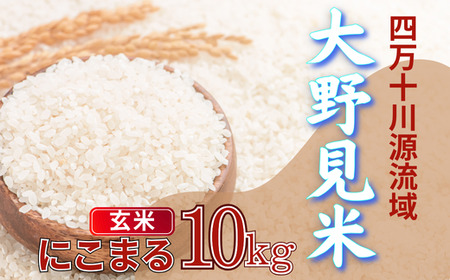 쌩 ɂ܂ 10kg (  )    ɂ܂ l\ mY