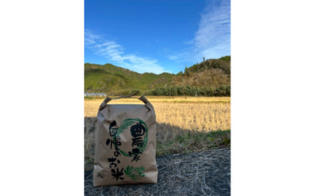 大野見米 ブレンド米 5kg ( 玄米 ) ご飯 香り米 米 お米 四万十 高知産