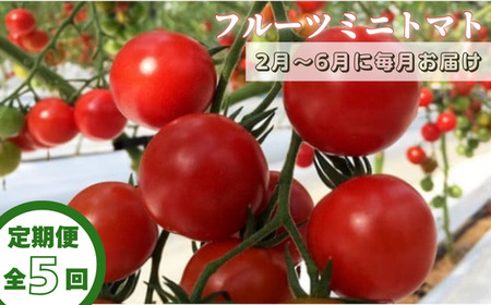 [定期便全5回 2月〜6月毎月お届け]四万十川源流域で育まれた 絶品 フルーツミニトマト 1kg [ フルーツトマト とまと 甘い 濃厚 美味しい 箱詰め 糖度8%〜12% 高知 中土佐 ]