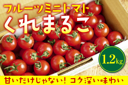 〈 先行予約受付中 〉 フルーツミニトマト 『 くれまるこ 』 1.2kg フルーツトマト ふるーつとまと とまと トマト 甘い 濃厚 美味しい 箱詰め 高知 久礼 宇井農園