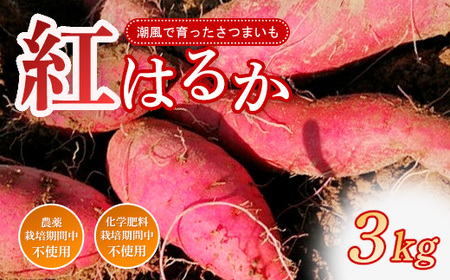 [先行予約受付中] 紅はるか 3kg 農薬 化学肥料 不使用 さつまいも 芋 いも 紅はるか 高知県産 甘い 詰め合わせ