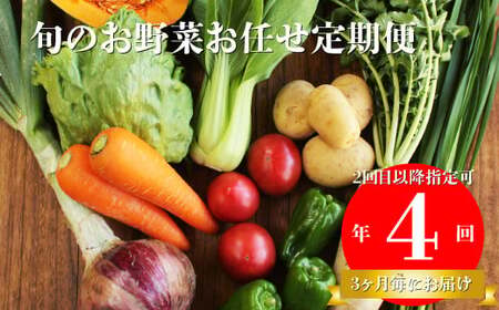 【年4回】高知から直送！旬の季節のお野菜定期便（7~9品）2回目以降着日指定可能 産地直送 旬の時期にお届け