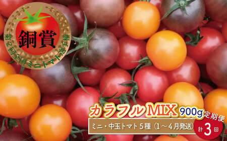 [1月〜4月頃発送][約900g×3回 定期便 ]カラフルトマト アイメック トマト 5種 MIX フルティカ ]ましまファーム ミニトマト フルーツトマト 糖度訳あり