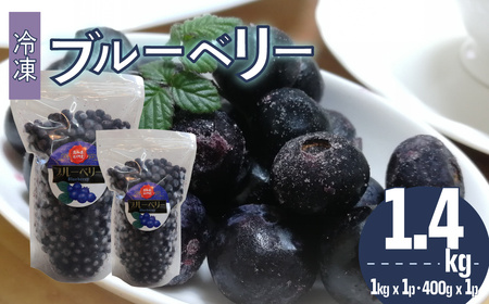 【ふるさと納税】＜ブルーベリー 冷凍　1.4kg＞ フルーツ くだもの 高知県 佐川町 果物 島崎商事【冷凍】冷凍ブルーベリー 常備果物＜１～３ヶ月程度で発送＞