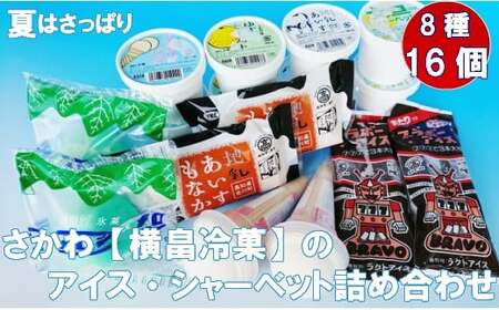 【ふるさと納税】＜さかわのアイス・シャーベット詰め合わせ＞アイスクリン 地乳 高知県 佐川町 横畠冷菓【冷凍】