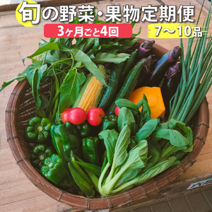 [ふるさと納税][年4回 定期便はちきんの店 野菜 セット 7~10品] 野菜詰め合わせ 詰合せ 高知の野菜 旬の野菜[冷蔵]高知県 佐川町