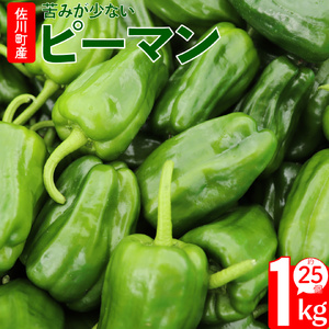 [ふるさと納税][2025年5月下旬以降発送][ピーマン]1kg さらら 高知 野菜 夏 苦みが少ない 佐川町産[冷蔵]