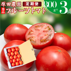 [ふるさと納税] 定期便3回[ 12月下旬〜5月頃発送 ][フルーツトマト 原田農園 約800g 小箱]桃太郎 [常温]送料無料 [2024年12月下旬頃より発送]