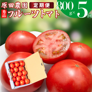 [ふるさと納税]定期便 5回[2025年12月下旬〜順次発送 ][フルーツトマト 原田農園 約800g 小箱] 桃太郎 [常温]送料無料 [毎年12月上旬頃まで申込受付]