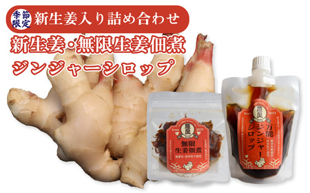 [ふるさと納税][新生姜1kg・佃煮1袋・シロップ1個]農家の嫁の生姜佃煮袋70g ジンジャーシロップ200ml クラフトジンジャー 掘りたて 土付き 新ショウガ 露地生姜 1kg ごはんお供(C) ginger 農奥 高知 詰め合わせ [2026年11月下旬〜12月上旬ごろ発送予定]