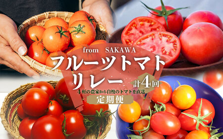 [ふるさと納税][フルーツトマト 定期便 4農家からリレーでお届け] 数量限定 カラフルトマト 計4回 高糖度トマト さかわ自慢の [常温][冷蔵]桃太郎 アイコ トスカーナバイオレット オレンジ千果 フルティカ 小鈴エル アルテトマト 送料無料 産地直送