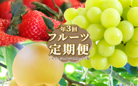 [ふるさと納税][フルーツ 定期便(全3回)] いちご シャインマスカット ぶどう 梨 fruit 苺 おすすめ 旬 果物 くだもの 高知県 佐川町産[冷蔵][常温]