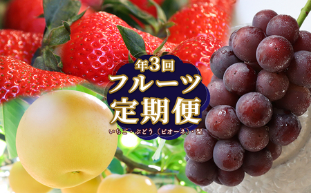 [ふるさと納税][フルーツ 定期便(全3回)] いちご ピオーネ ぶどう 梨 fruit 苺 おすすめ 旬 果物 くだもの 高知県 佐川町産[冷蔵][常温]