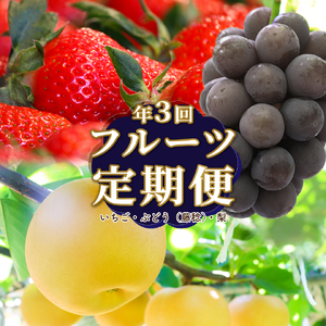 【ふるさと納税】＜フルーツ 定期便（全３回）＞ いちご ぶどう 藤稔 梨 fruit 苺 おすすめ 旬 果物 くだもの 高知県 佐川町産【冷蔵】【常温】