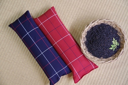 のうがえい枕(背中用)