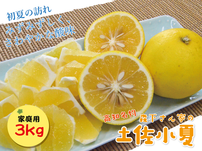 [2026年発送]森下さん家の(家庭用)土佐小夏(約3kg)