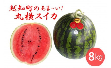 越知町のあま〜いスイカ[約8kg 1玉]