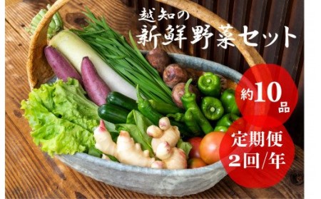 越知産市の季節の野菜セット(年2回発送)