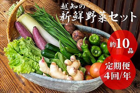 越知産市の季節の野菜セット(年4回発送)