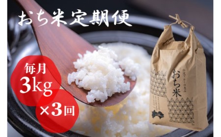 「おち米」定期便 (3kg × 3回) 産直 白米