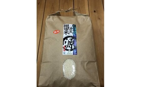 四万十川源流米 10㎏（令和5年度産）【M002】