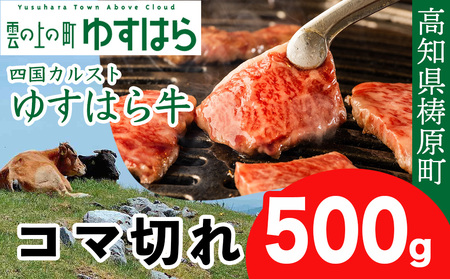 lJXgň䂷͂狍 R}؂ 500g@ a  ܐ؂ IC_ mY